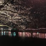 2017年4月9日鶴ヶ島市運動公園のライトアップされた桜を見てきました。
